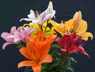 bunter Sommerstrauß aus Lilien