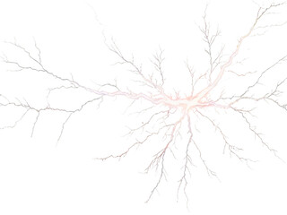 Obraz premium white background. The lightning should be vivid and detailed, with sharp, branching tendrils and bright, electric blue tones. Ensure isolate