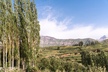 A beautiful mountain range with a clear blue sky and a few trees