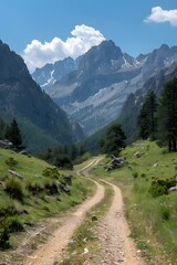 Obraz premium Mountain Path Through a Valley