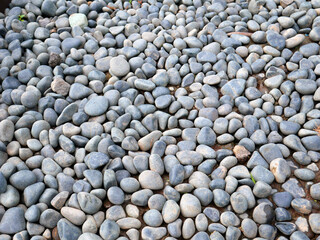 River stones in different shades of gray