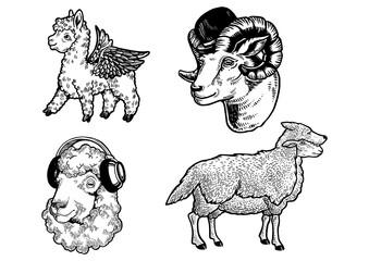 Sheep farm animal fashion set line art sketch engraving PNG illustration. T-shirt apparel print design. Scratch board imitation. Black and white hand drawn image.