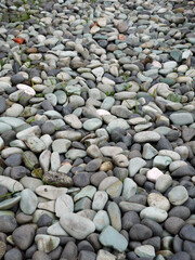 River stones in different shades of gray