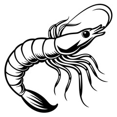 Detailed Shrimp Vector Illustration for Seafood and Design Projects