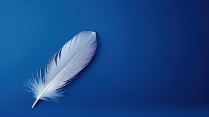 Naklejka premium color blue photography background