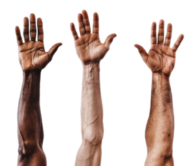 PNG  Diverse raised hands unity