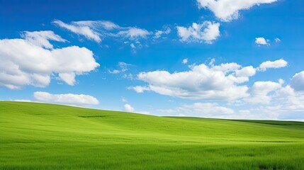 Fototapeta premium scene blue sky green grass