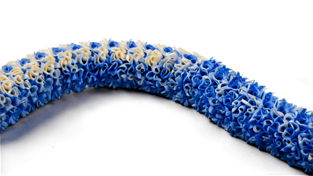 Two curving lengths of material one in a cornflower blue and the other in a pale cream color.