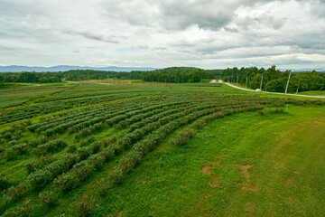 the mountains and hills at Singha Park