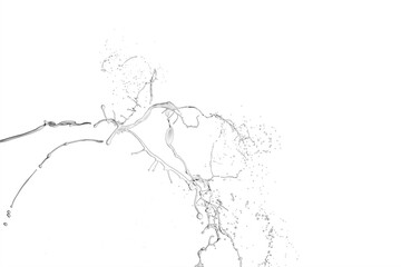 Obraz premium White paint splash isolated