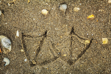 Sea, seashore  - Europe, Romania, Constanta region