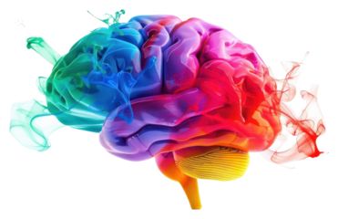 PNG  Colorful brain with abstract smoke