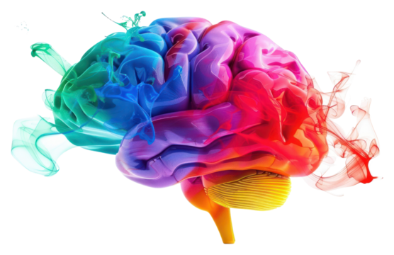 PNG  Colorful brain with abstract smoke