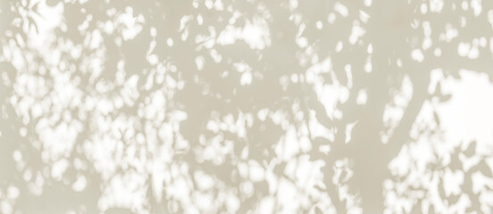 Tree shadow and light of leaf branch background. Nature leaves tropical jungle tree branch dark shadows and light from sunlight on wall texture for background wallpaper design, shadow overlay effect