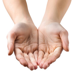 PNG  Open hands cupped together gesture