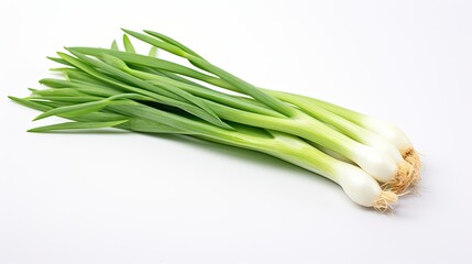 up green onion isolated