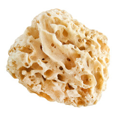Naturschwamm und Hintergrund transparent PNG cut out  Natural Body Sea Sponge