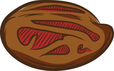 Color illustration of hand-drawn nutmeg icon, spice vector