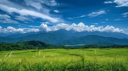 Obraz premium Green Grass Field with Blue Sky and Mountain Range in Background