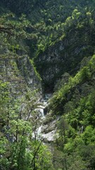 mountain river in the valley