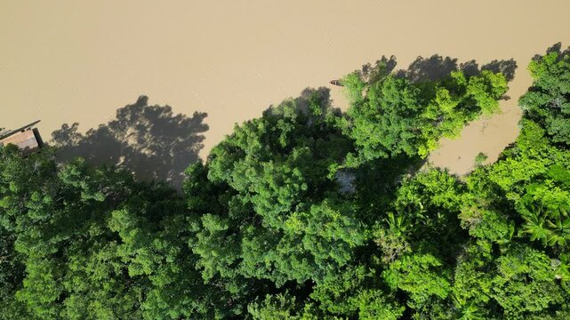Rio Amaz&ocirc;nia Mangue Ilha Maraj&oacute; Salvaterra A&ccedil;a&iacute; Floresta Biodiversidade Fauna Flora Natureza Ecoturismo Paisagem Rural Comunidade Ind&iacute;gena Vegeta&ccedil;&atilde;o Costeira Navega&ccedil;&atilde;o Barcos Tradi&ccedil;&atilde;o