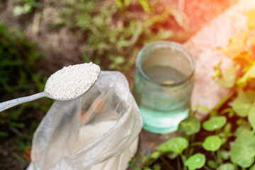 A spoon with mineral fertilizers for diluting in water and feeding plants. mineral and organic fertilizers. Copy space for text