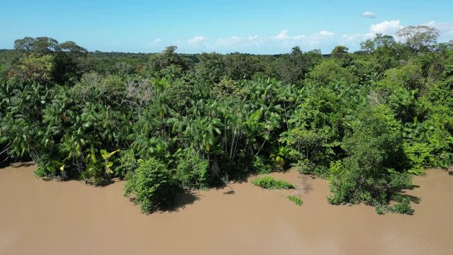 Rio Amaz&ocirc;nia Mangue Ilha Maraj&oacute; Salvaterra A&ccedil;a&iacute; Floresta Biodiversidade Fauna Flora Natureza Ecoturismo Paisagem Rural Comunidade Ind&iacute;gena Vegeta&ccedil;&atilde;o Costeira Navega&ccedil;&atilde;o Barcos Tradi&ccedil;&atilde;o