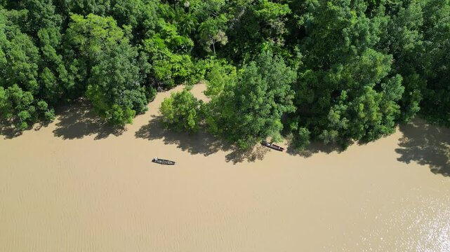Rio Amaz&ocirc;nia Mangue Ilha Maraj&oacute; Salvaterra A&ccedil;a&iacute; Floresta Biodiversidade Fauna Flora Natureza Ecoturismo Paisagem Rural Comunidade Ind&iacute;gena Vegeta&ccedil;&atilde;o Costeira Navega&ccedil;&atilde;o Barcos Tradi&ccedil;&atilde;o