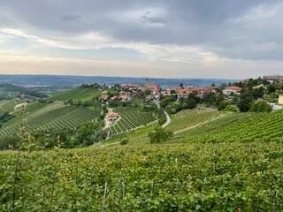 Italian landscape with vineyards