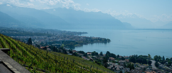 Swiss landscape with vineyards