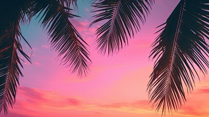 Obraz premium silhouette palm leaves pink green