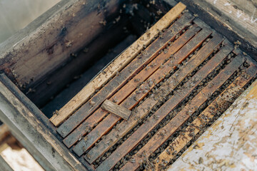 A wooden box with a lot of wood and bees