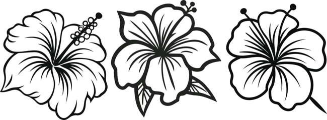 Bundle of hibiscus flower line art vector illustrations set isolated on transparent background. Modern minimalist design for logo, tattoo, wall art.