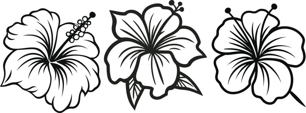 Bundle of hibiscus flower line art vector illustrations set isolated on transparent background. Modern minimalist design for logo, tattoo, wall art.
