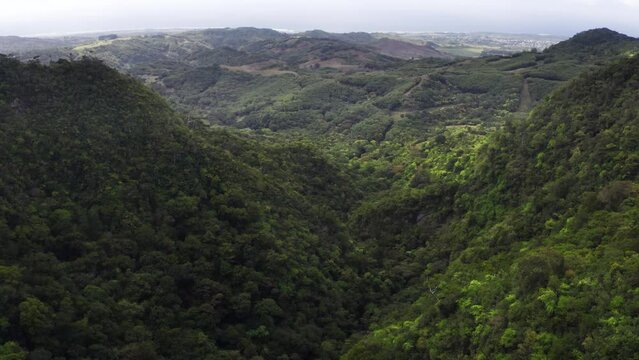 Picturesque slow flying drone over the deep mountain green jungle forest wide valley. Cascade 500 Pieds waterfall area on Mauricius island with Indian oceanon horizon. 4K Traveling and Nature footage.