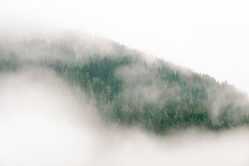 Misty Mountain Village in Alpine Valley, with serene nature and landscape