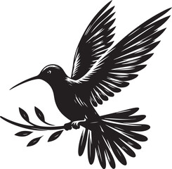 Humming bird silhouette vector illustration. Vector Collection of Bird Silhouettes