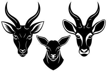 addax aye aye bandicoot  silhouette vector illustration 