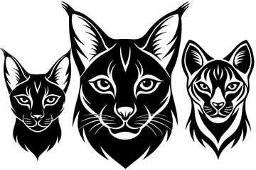 eurasian lynx fennec fox fossa haed icon silhouette vector illustration 
