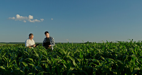 Father and son farmers standing in a beautiful cornfield, working with a laptop and tablet. Integrating technology in their family farm © StockMediaSeller