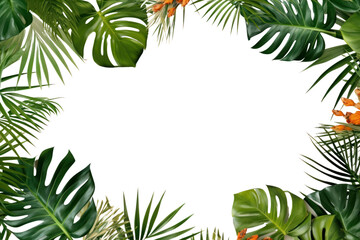 PNG Plant backgrounds outdoors tropics