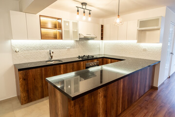 modern kitchen interior  with wall and base units