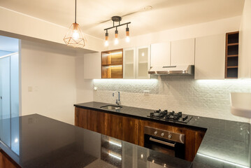 modern kitchen interior