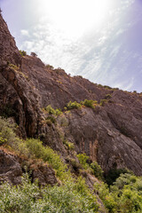 A rocky mountain with a few trees on it