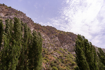 A mountain with trees on it and a clear blue sky