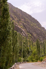 Fototapeta premium A mountain range with a road running through it
