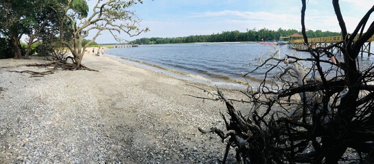 Exploring public beaches and parks in South Carolina.
