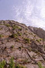A rocky mountain with a few trees on it