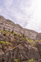 A rocky mountain with a few trees on it