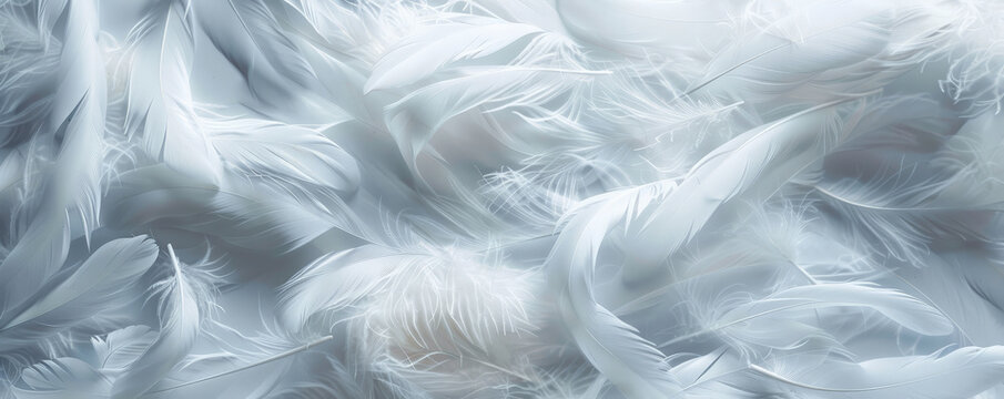 A background of soft, white feathers gently overlapping each other, creating a light and airy texture. The serene and ethereal feel evokes a sense of calm.